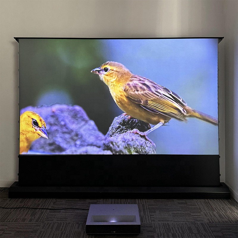Alr Ambient Light Rejecting Projector Screen - 120 inch gemotoriseerd, van de vloer