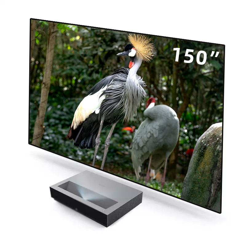 2026 HOT ALR PET Crystal Black - Alr Ambient Light Rejecting Projector Screen recensie en prijs