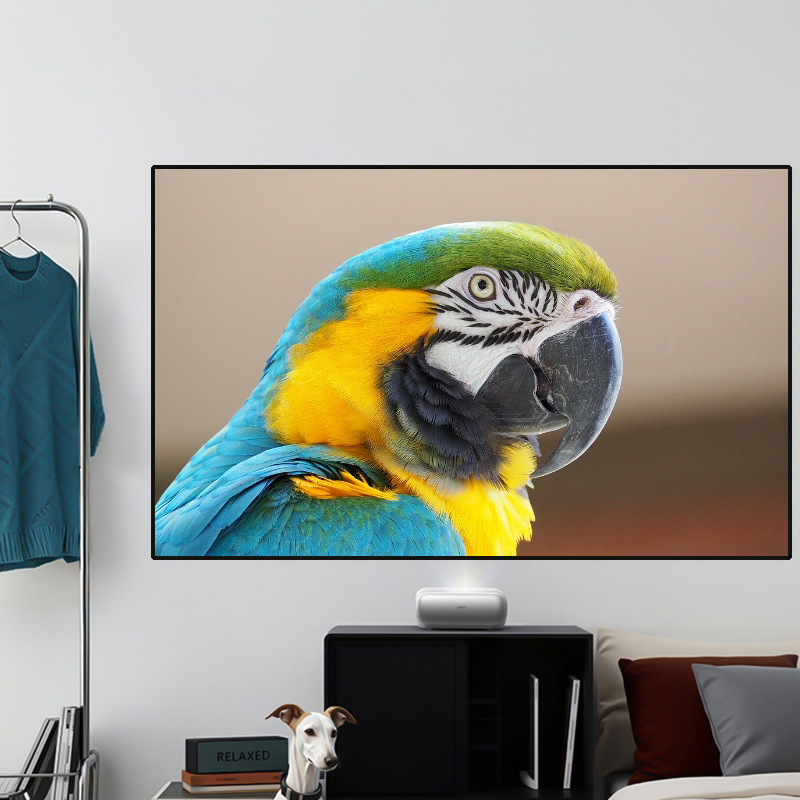 2026 HOT ALR PET Crystal Black - Alr Ambient Light Rejecting Projector Screen recensie en prijs