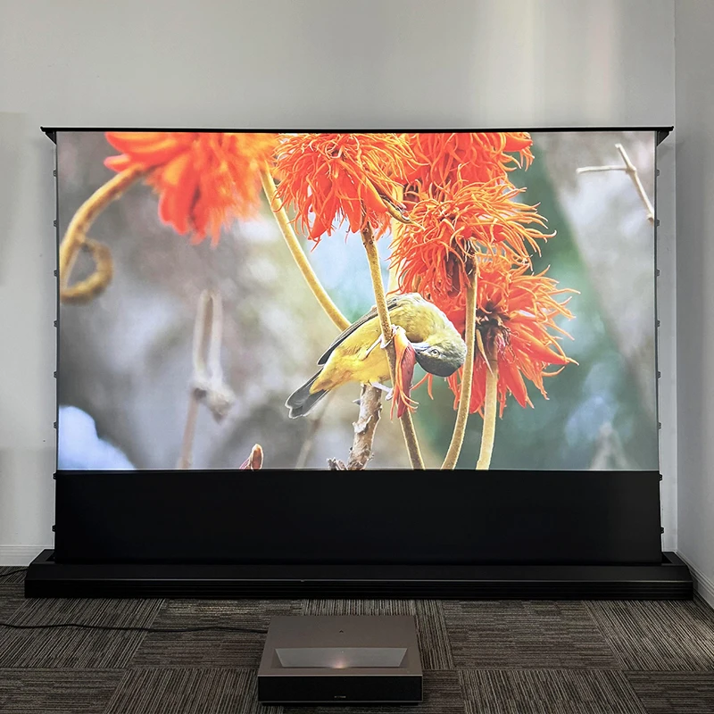 120 inch elektrisch vloerverri - Projector Screen 120 Inch Motorized Ambient recensie en prijs