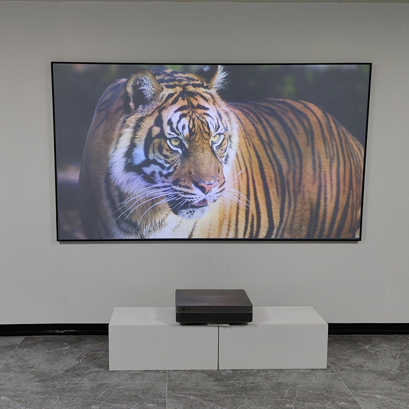 VisualMr Black Grid ALR UST pr - Alr Ambient Light Rejecting Projector Screen recensie en prijs
