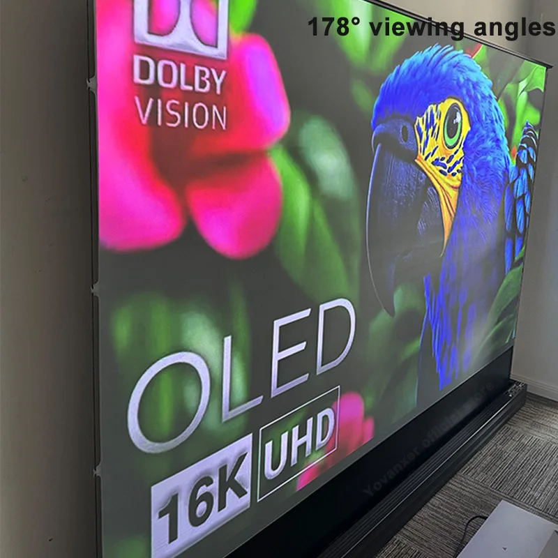 Gemotoriseerd, van de vloer op - Projector Screen 120 Inch Motorized Ambient recensie en prijs